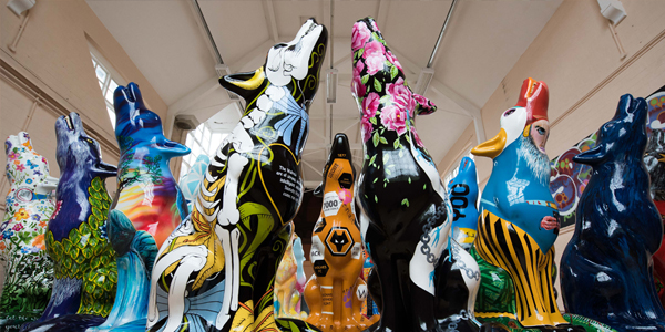 A pack of the Wolves in Wolves ready to prowl the city centre streets