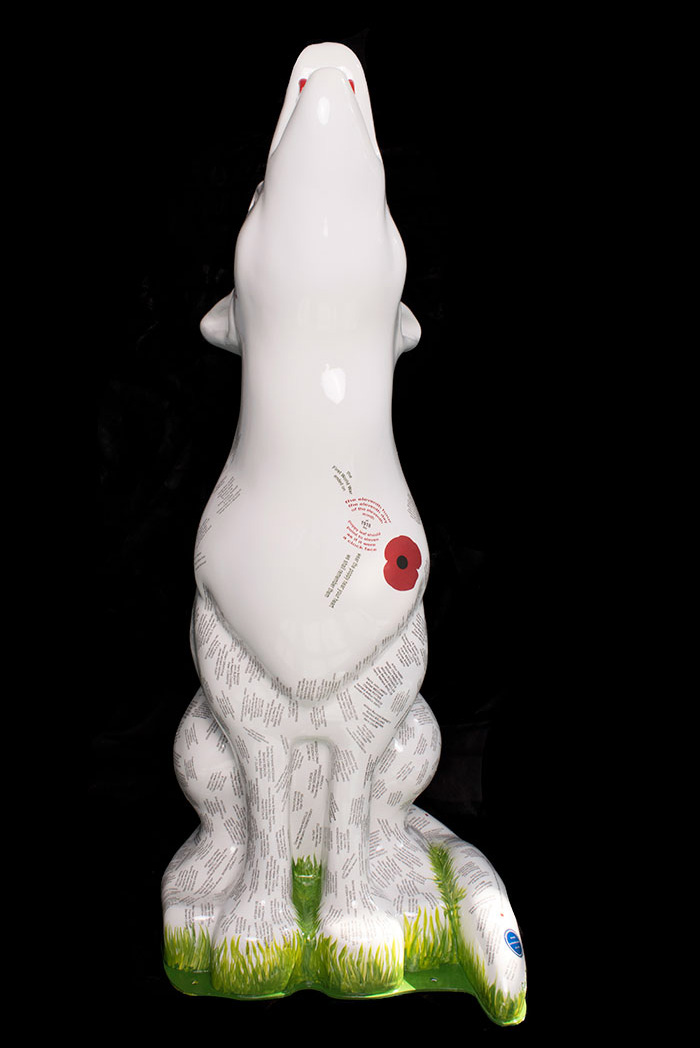 The Fallen by Claire Darke - front profile